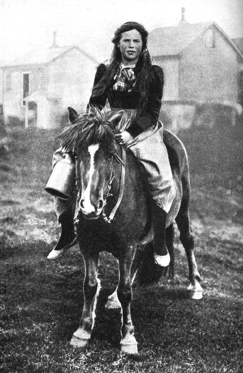 Dojarka na porannym objeździe, Islandia, 1922 autorstwa Unbekannt