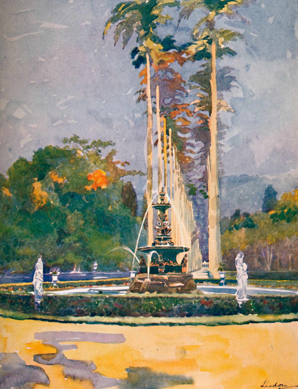 Fragment Alei Królewskich Palm, Ogrody Botaniczne, 1914 autorstwa Unbekannt