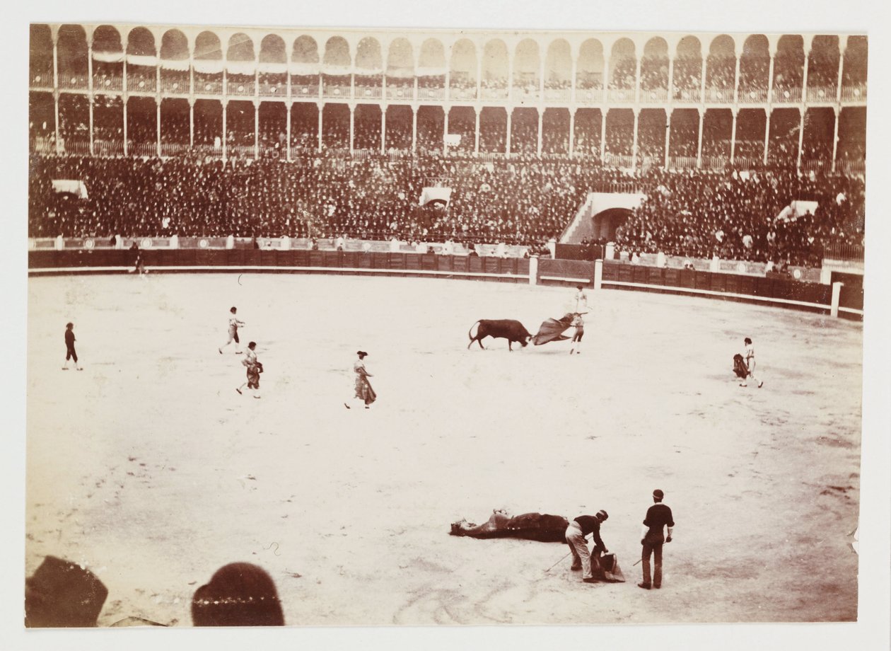 Migawkowe zdjęcie walki byków przed ogromnym tłumem na arenie walk byków Las Ventas del Espiritu Santo w Madrycie, wykonane przez nieznanego fotografa około 1930 roku autorstwa Unbekannt