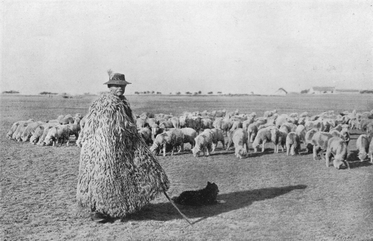 Typowy pasterz i jego stado na równinach Węgier, 1915 autorstwa Unbekannt