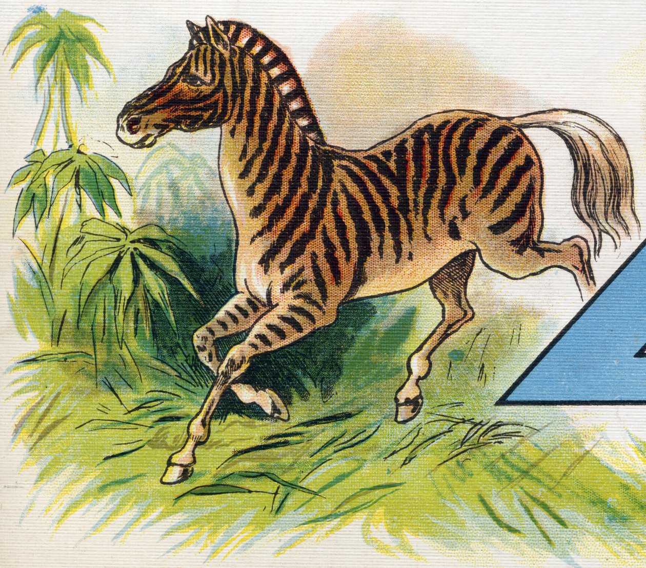 Zebra. Grawerowanie w "ABC L