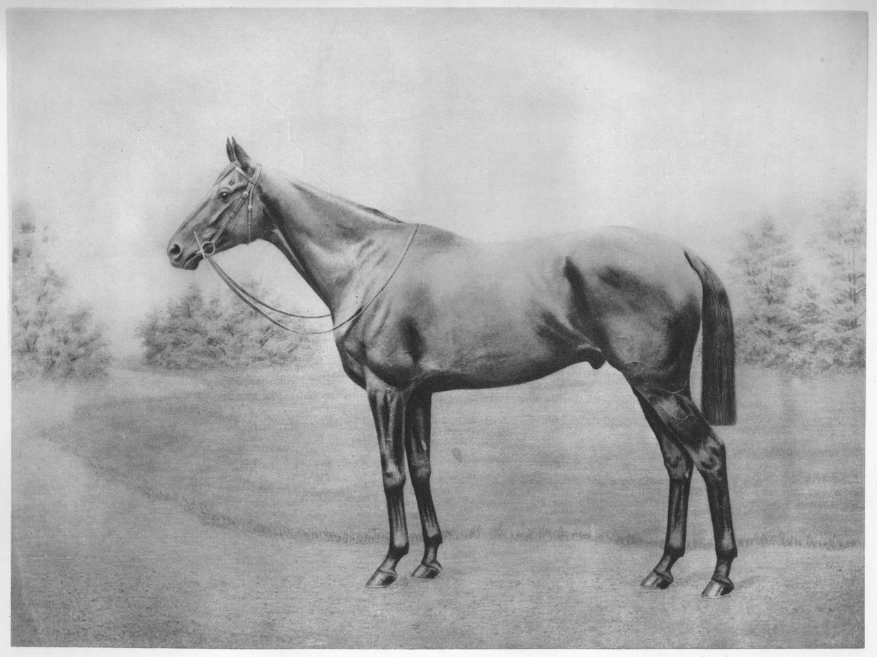 Admirał Togo III, 1911 autorstwa Unbekannt