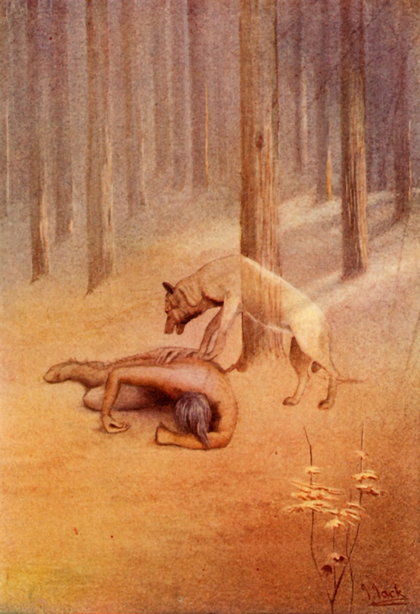 „Przygoda z totemem”, 1914. autorstwa Unbekannt