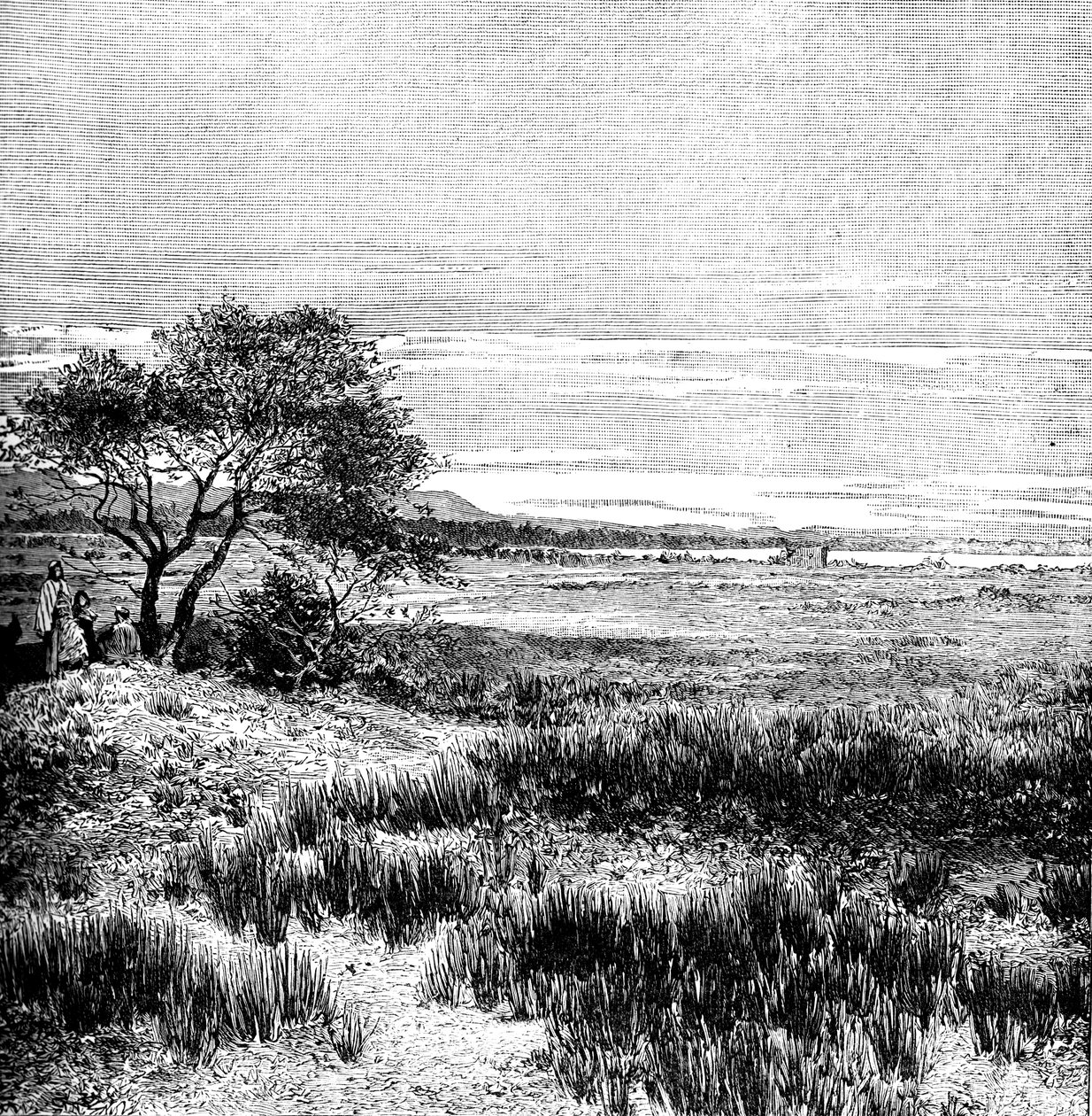 Dolina Agha, Środkowa Pampa, Argentyna, 1895 autorstwa Unbekannt