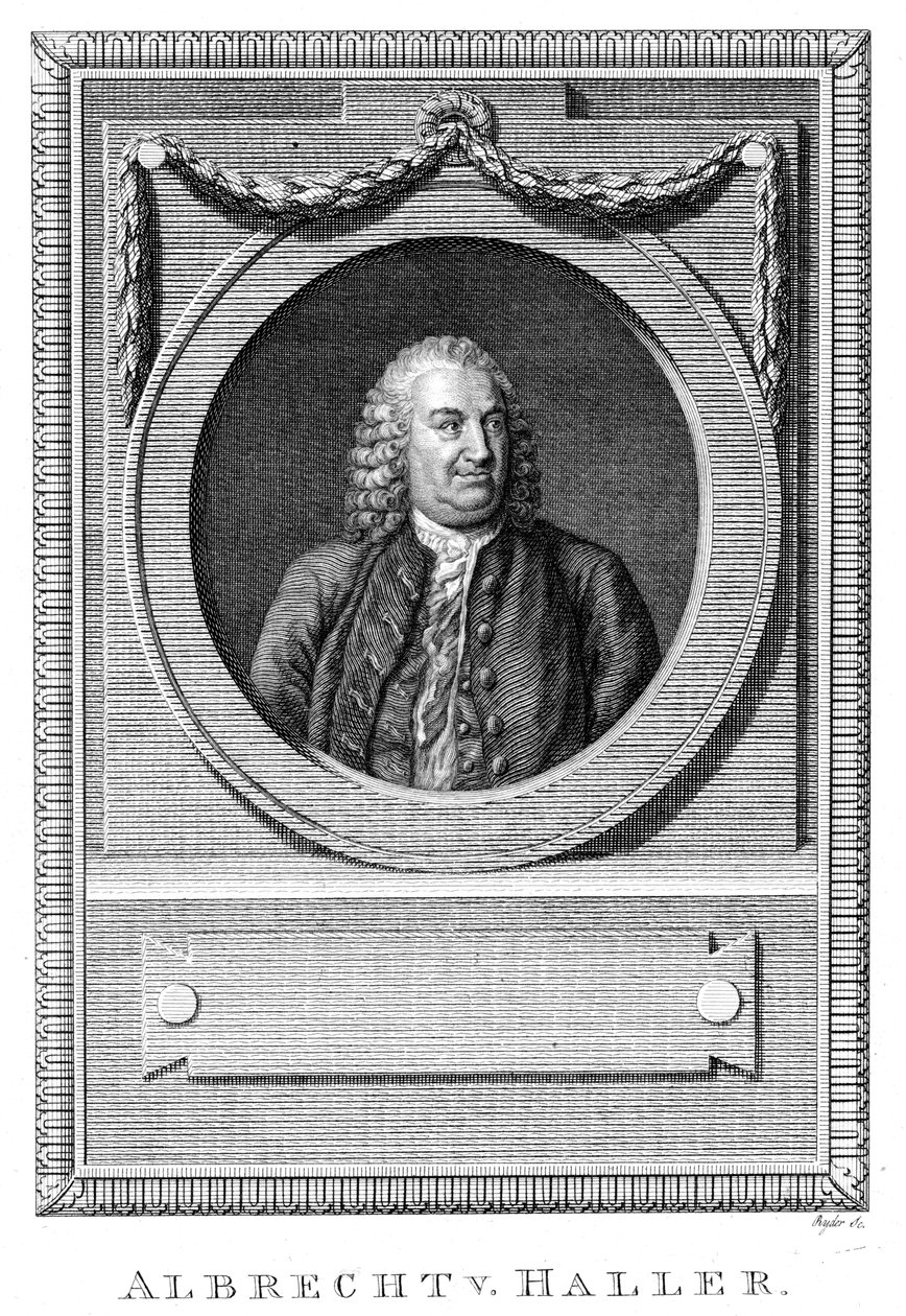 Albrecht von Haller, szwajcarski lekarz i naukowiec, ok. 1770 ok. 1780 autorstwa Unbekannt