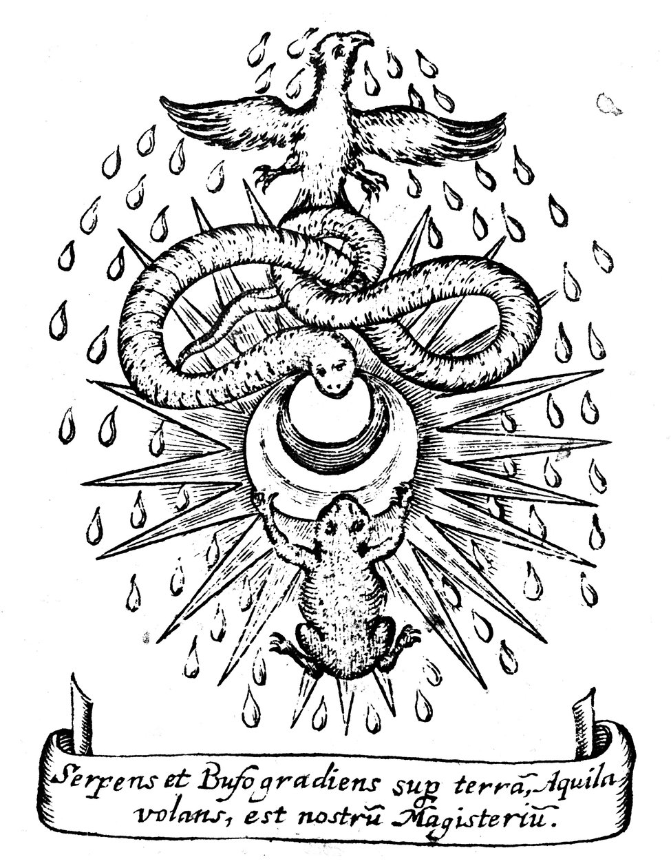 Symbolika alchemiczna, 1652 autorstwa Unbekannt