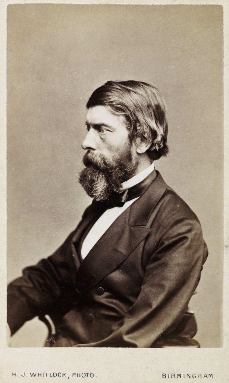 Alexander William Williamson, szkocki chemik, ok. 1865 autorstwa Unbekannt