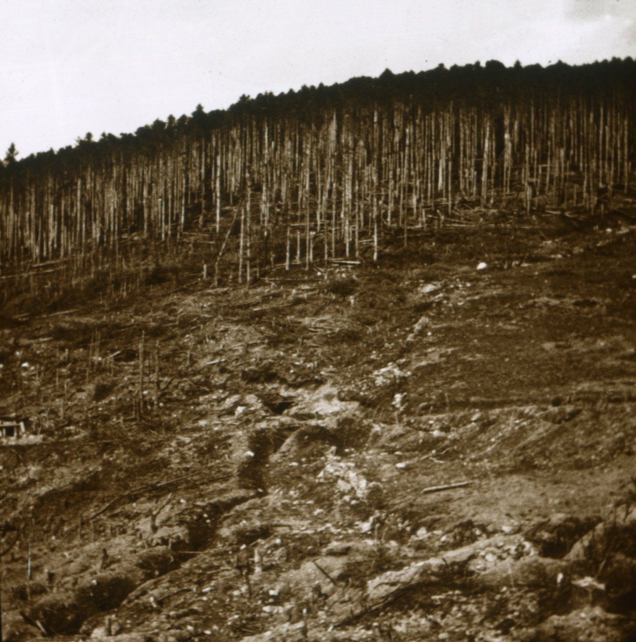 Alzacja, c1914-c1918 autorstwa Unbekannt