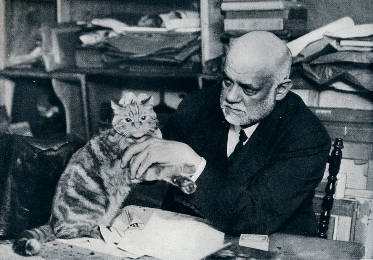 Ambroise Vollard, francuski handlarz dziełami sztuki, 1934 autorstwa Unbekannt