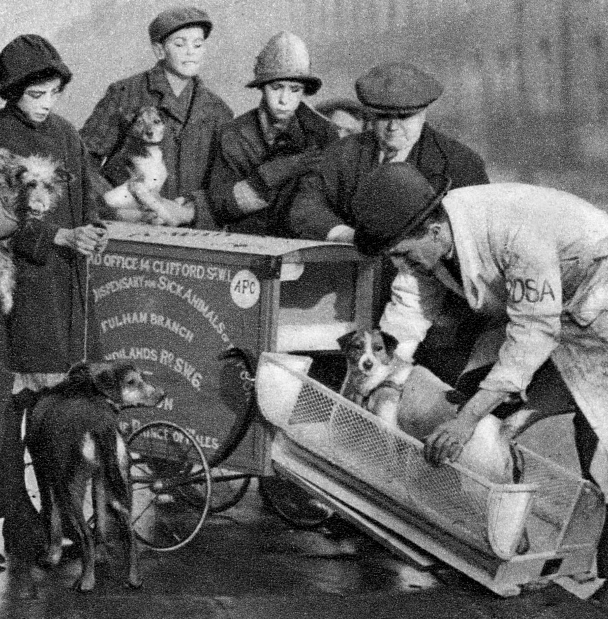 Karetka Pogotowia dla Chorych Zwierząt Ubogich, Londyn, 1926-1927 autorstwa Unbekannt