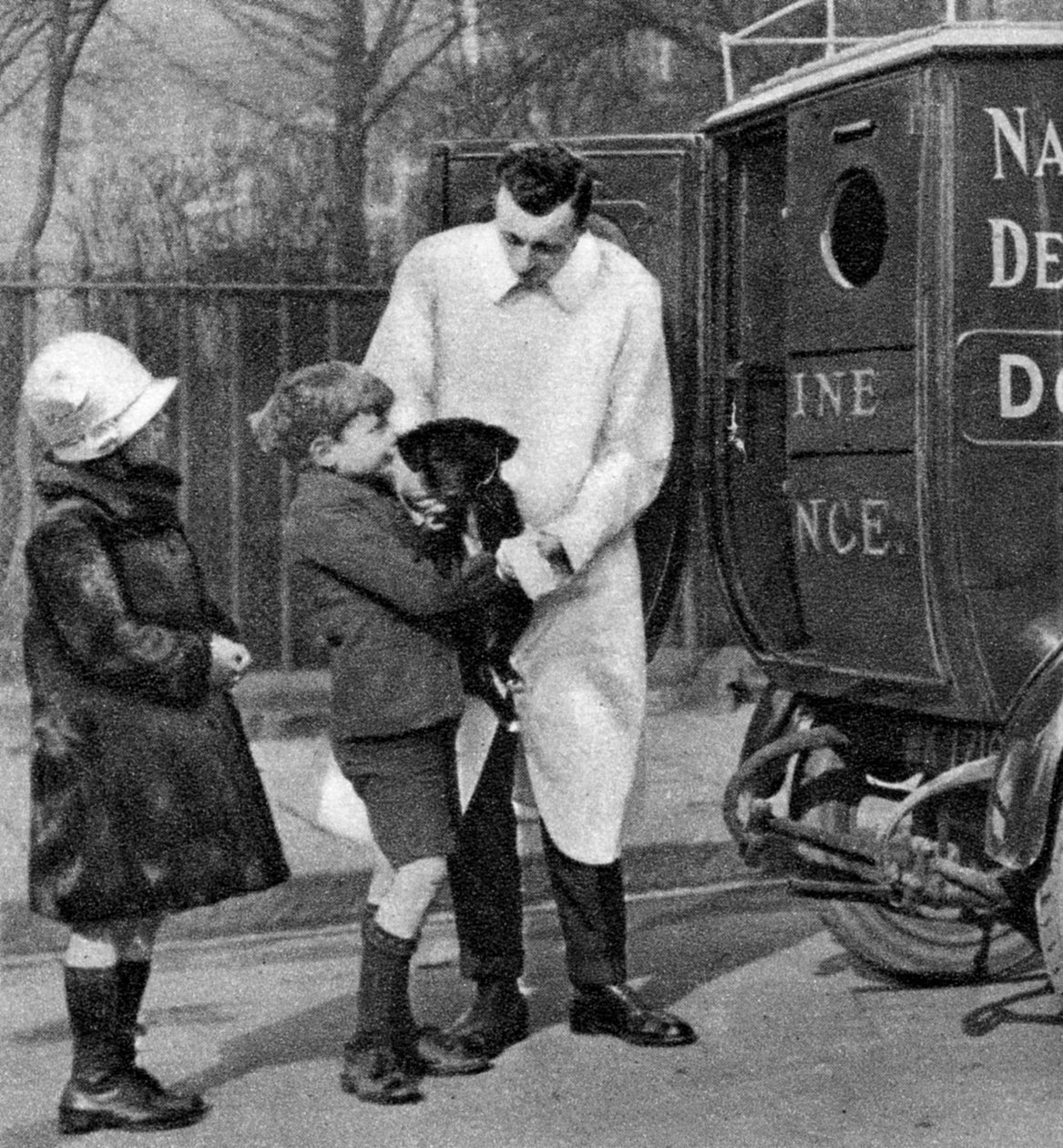 Pogotowie Narodowej Ligi Obrony Psów, Londyn, 1926-1927 autorstwa Unbekannt