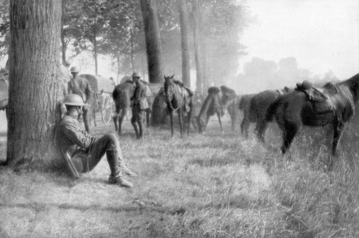 Amerykańska jednostka kawalerii w spoczynku, Chemin des Dames, Francja, 1918 autorstwa Unbekannt