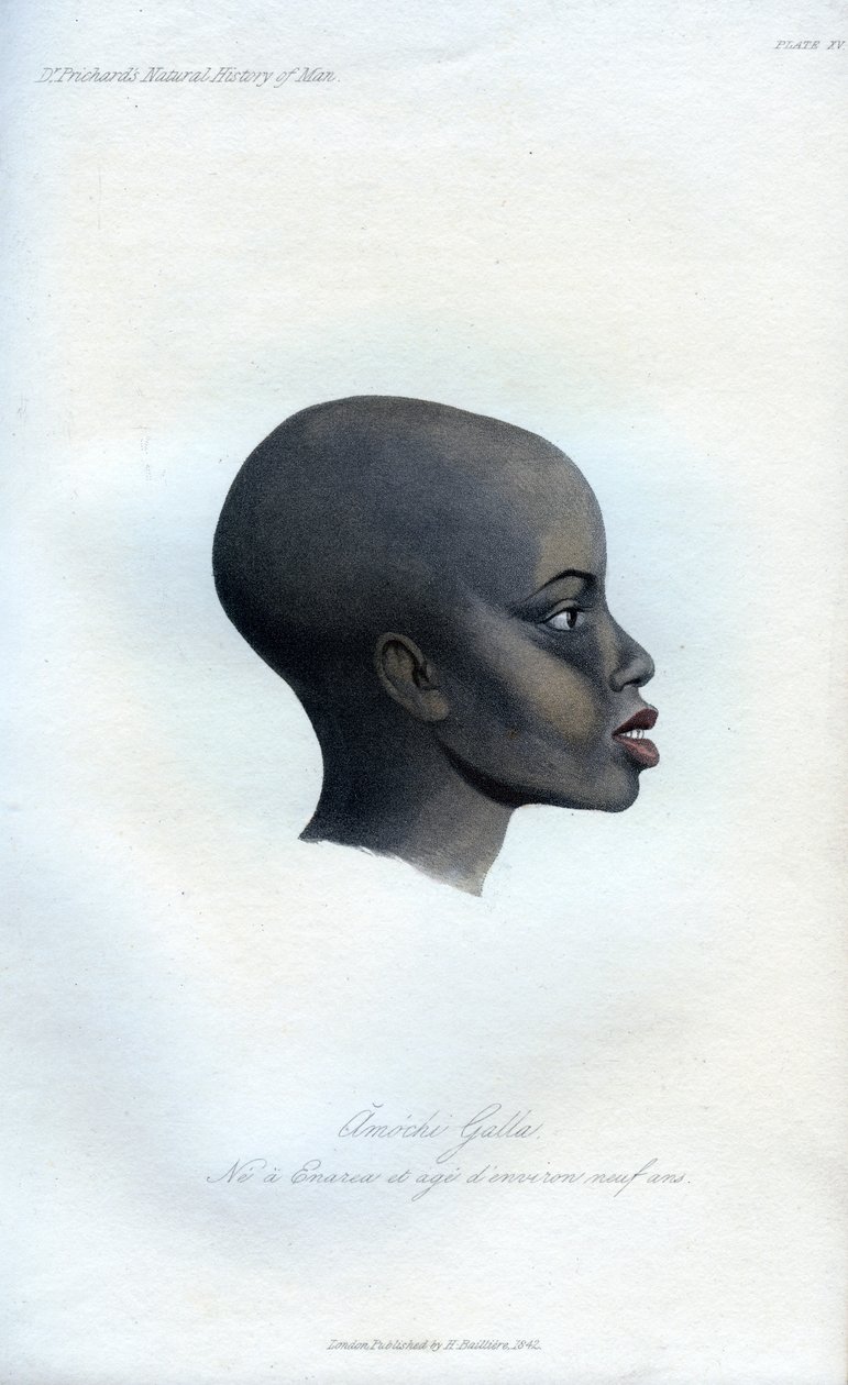 Amochi Galla, portret Galli, 1848 autorstwa Unbekannt