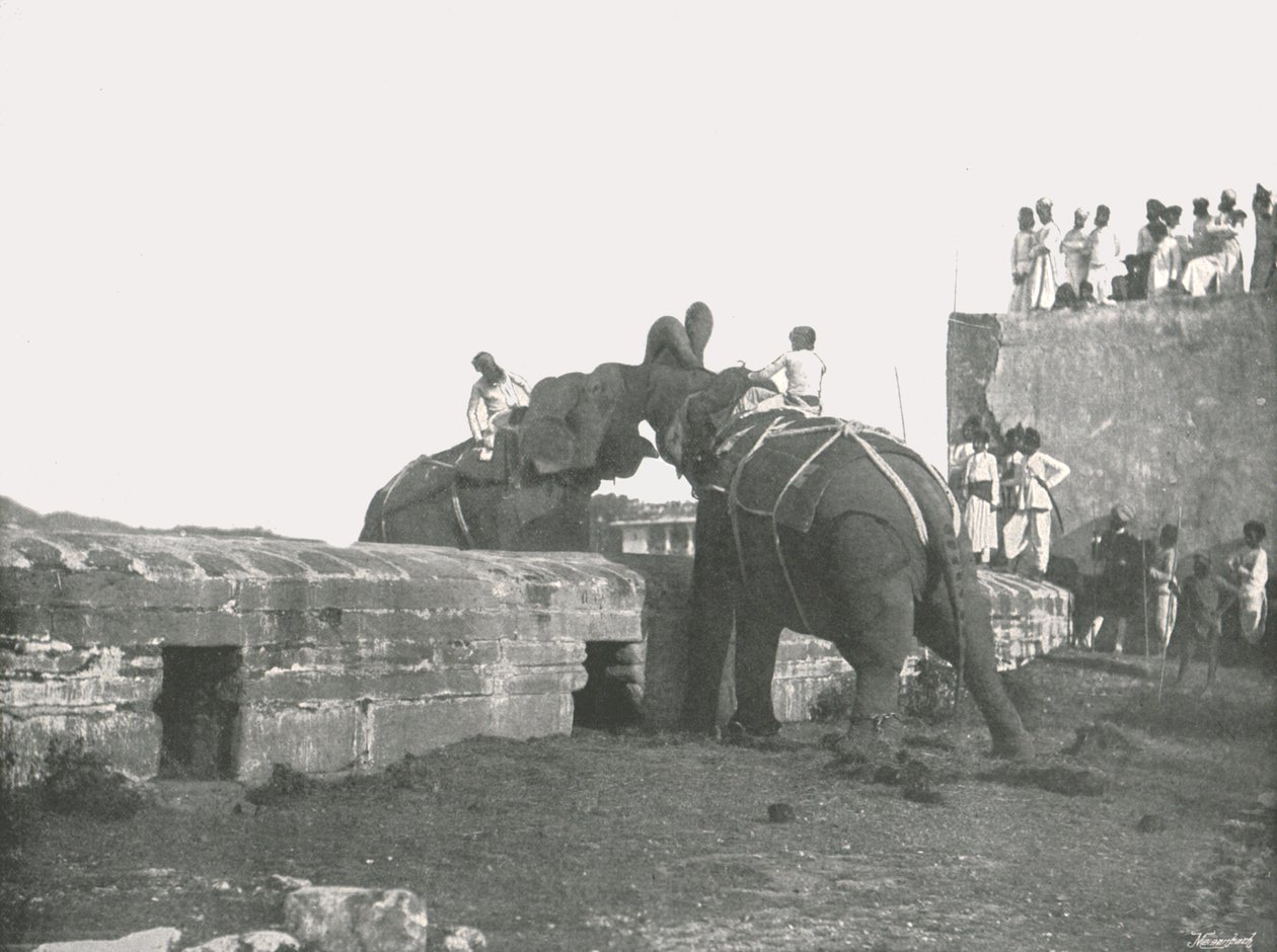 Walka słoni, Hyderabad, Indie, 1895. autorstwa Unbekannt