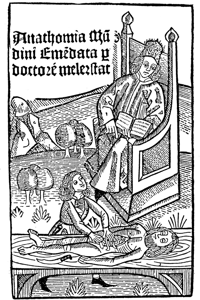 Demonstracja anatomii, 1493 autorstwa Unbekannt