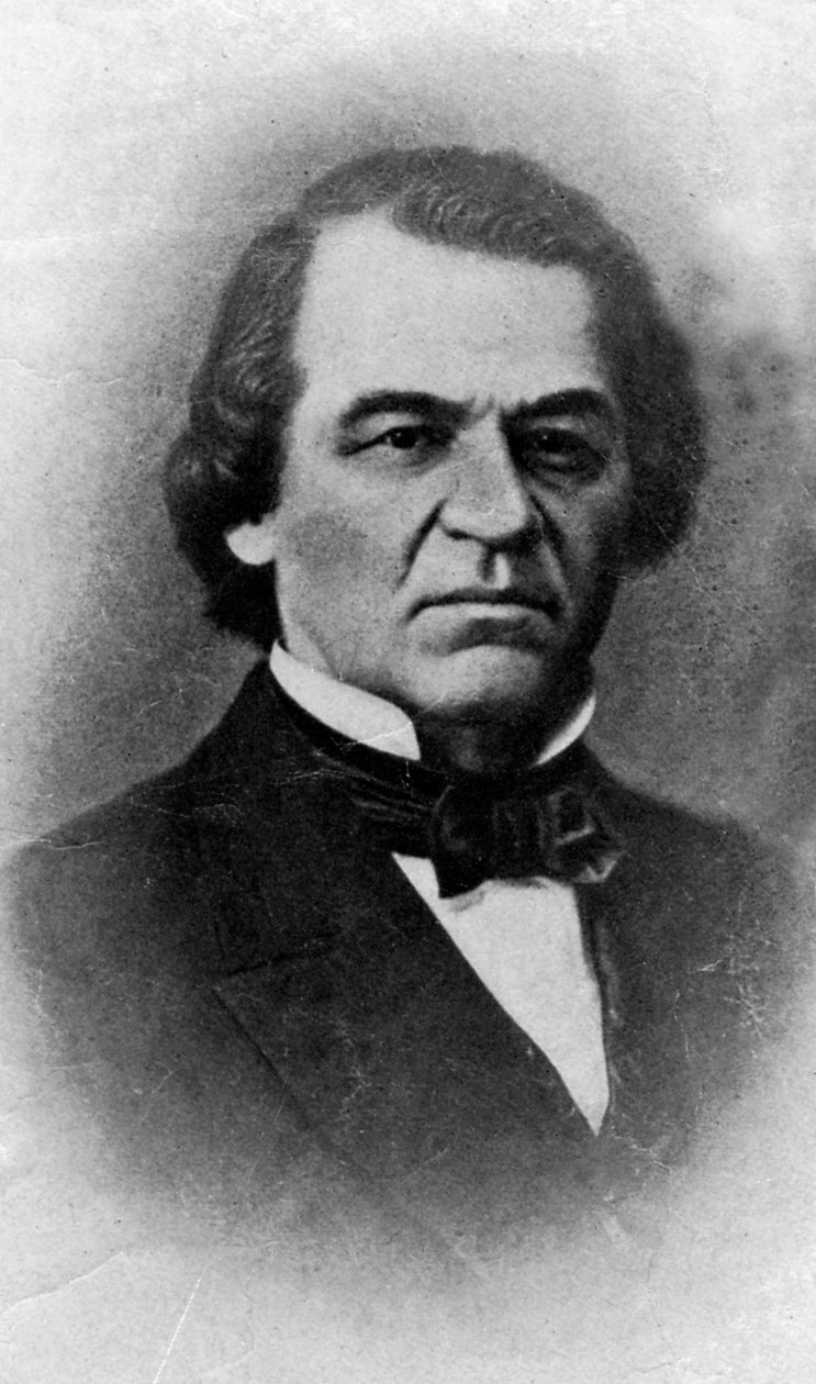 Andrew Johnson, prezydent Stanów Zjednoczonych, XX wiek autorstwa Unbekannt