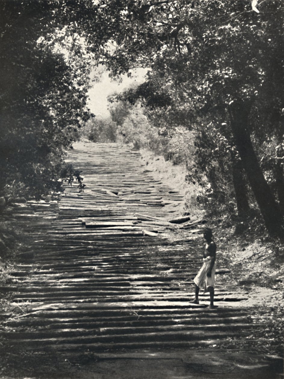 Początek kamiennych schodów Mihintale, 1926 autorstwa Unbekannt