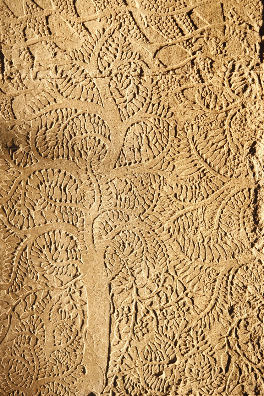 Angkor Wat, rzeźbione detale na WallTree, Siem Reap, Kambodża autorstwa Unbekannt