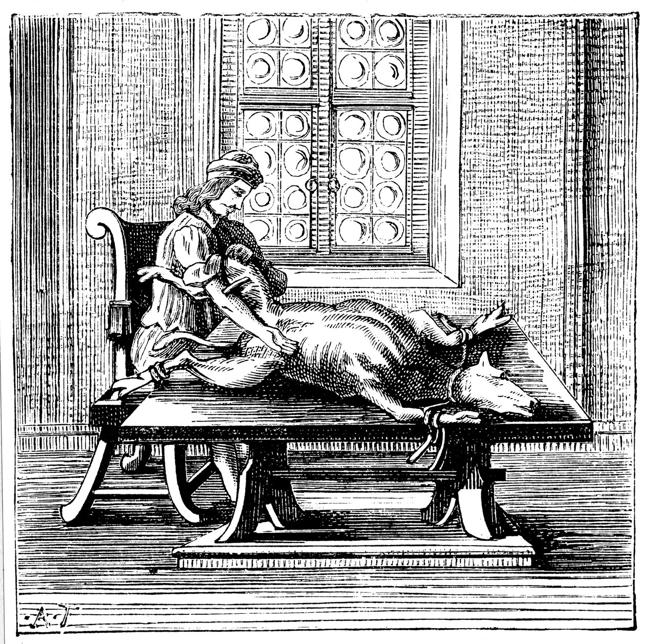 Transfuzja krwi od zwierzęcia do człowieka, 1679 autorstwa Unbekannt