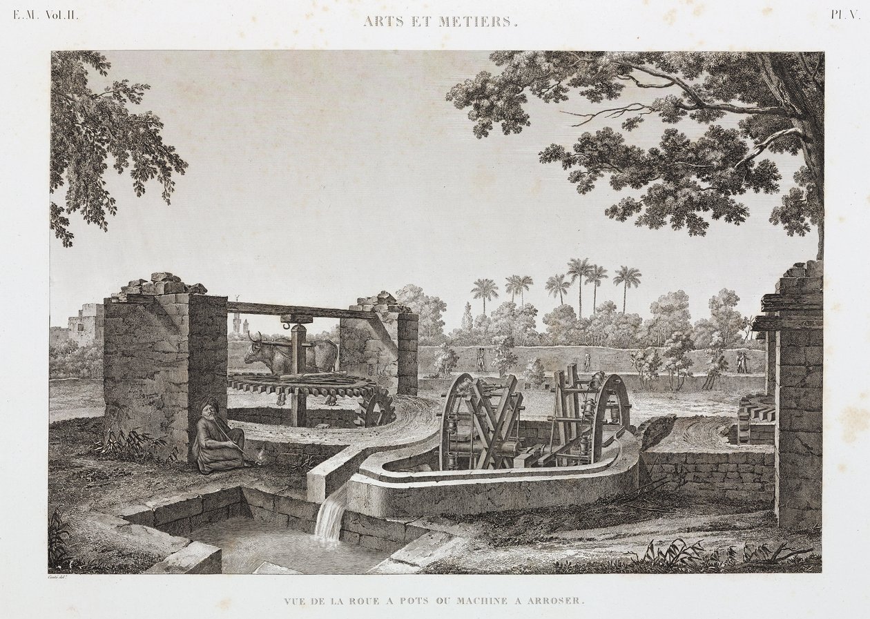 Animal Power Wheel i system nawadniania kubełkowego, Egipt, ok. 1798 r. autorstwa Unbekannt
