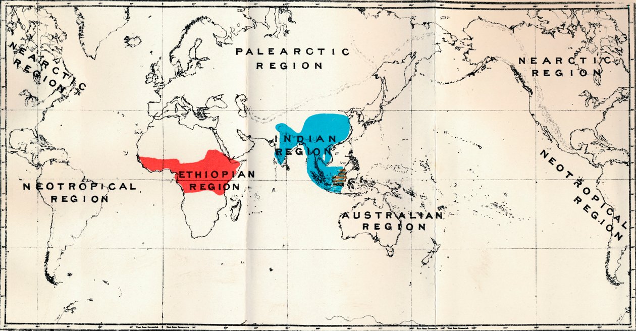 Anthropoidea - Rozmieszczenie map Genera Semnopithecus Blue, Nasalis Brown, Colobus Red, 1897 autorstwa Unbekannt