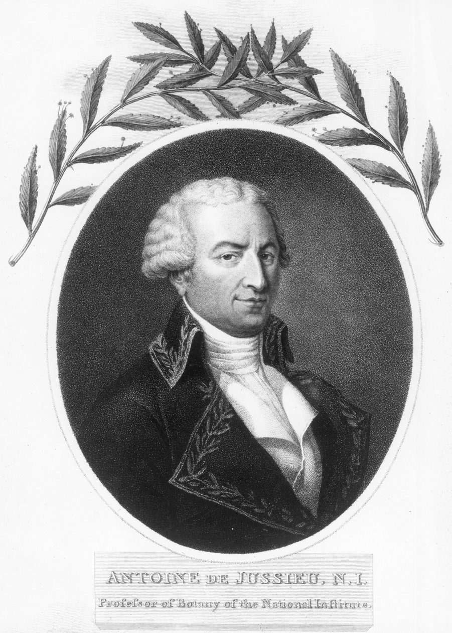 Antoine de Jussieu, XVIII-wieczny francuski botanik, 1807 autorstwa Unbekannt