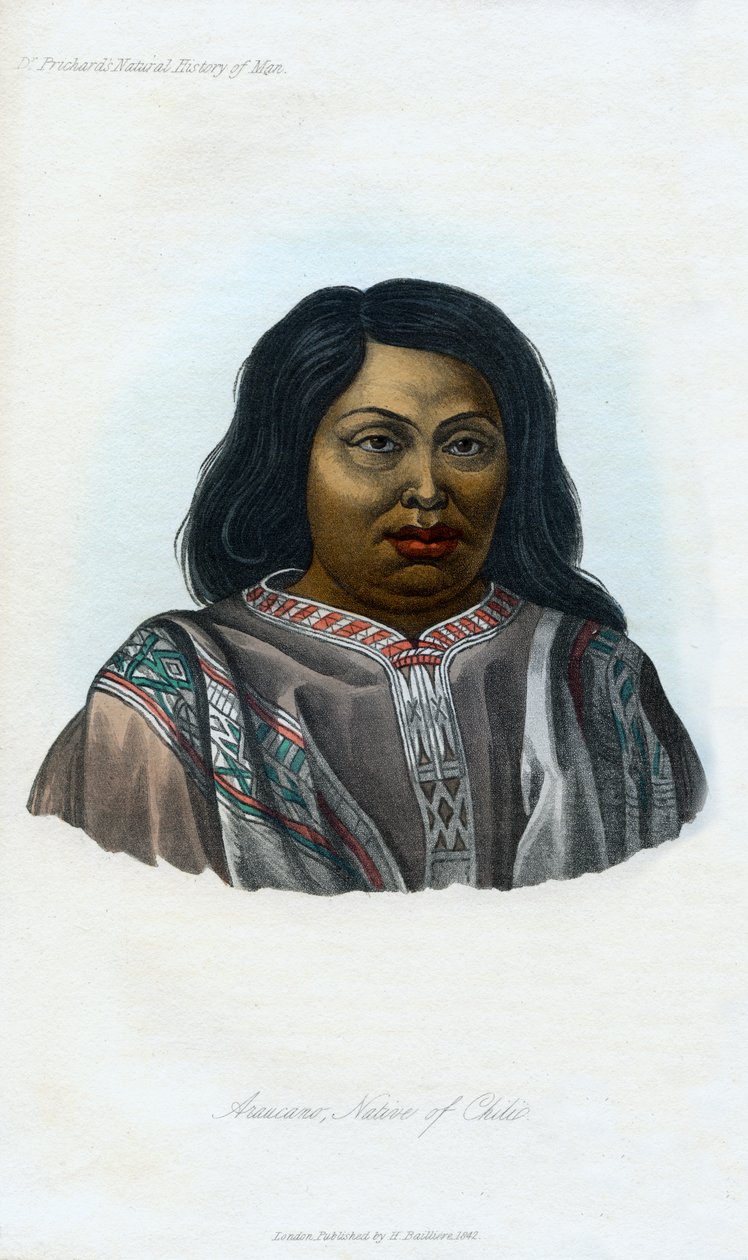 Araucano, pochodzący z Chile, 1848 autorstwa Unbekannt