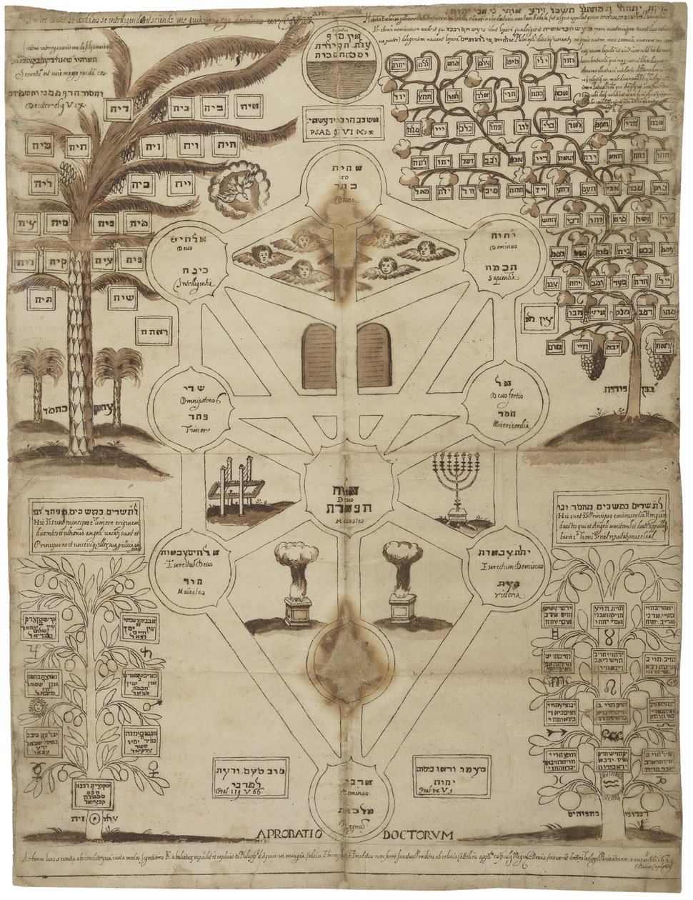 Drzewo kabalistyczne Arbor Cabalistica, ok. 1625 autorstwa Unbekannt