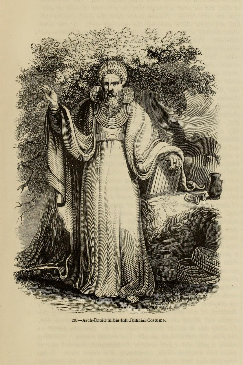 Arcydruid w pełnym kostiumie sędziowskim Z książki Old England: A Pictorial Museum, 1845 autorstwa Unbekannt