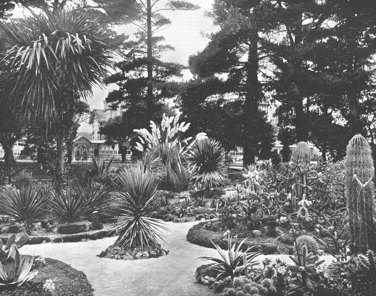 Arizona Garden, Monterey, Kalifornia, USA, ok. 1900. autorstwa Unbekannt