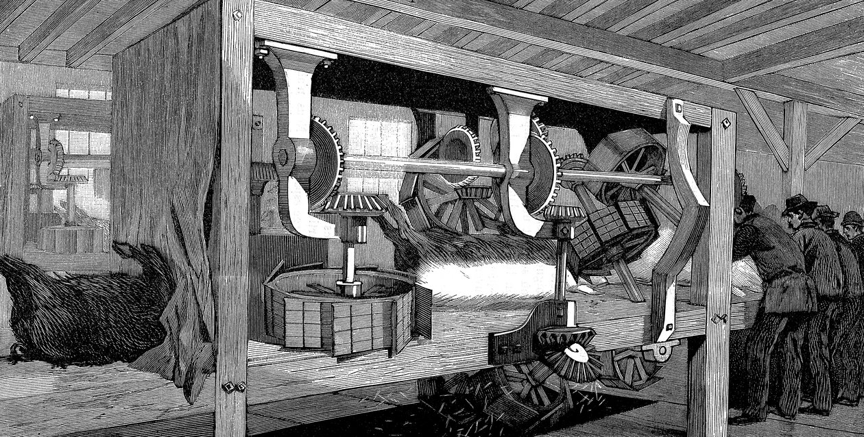 Ubojnia trzody chlewnej firmy Armor Company, Chicago, Illinois, USA, 1892 r. autorstwa Unbekannt