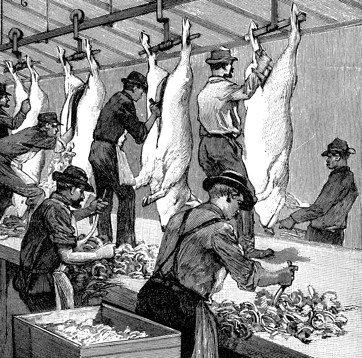 Ubojnia trzody chlewnej firmy Armor Company, Chicago, Illinois, USA, 1892 r. autorstwa Unbekannt