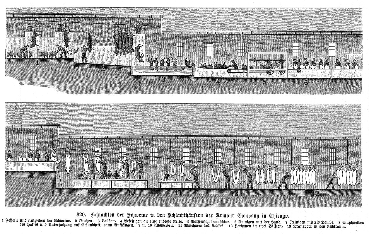 Ubojnia trzody chlewnej firmy Armor Company, Chicago, Illinois, USA, 1895 r. autorstwa Unbekannt