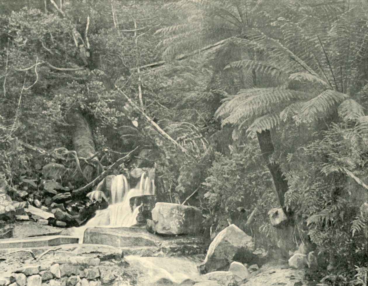 W St. Crispins Well, 1901. autorstwa Unbekannt