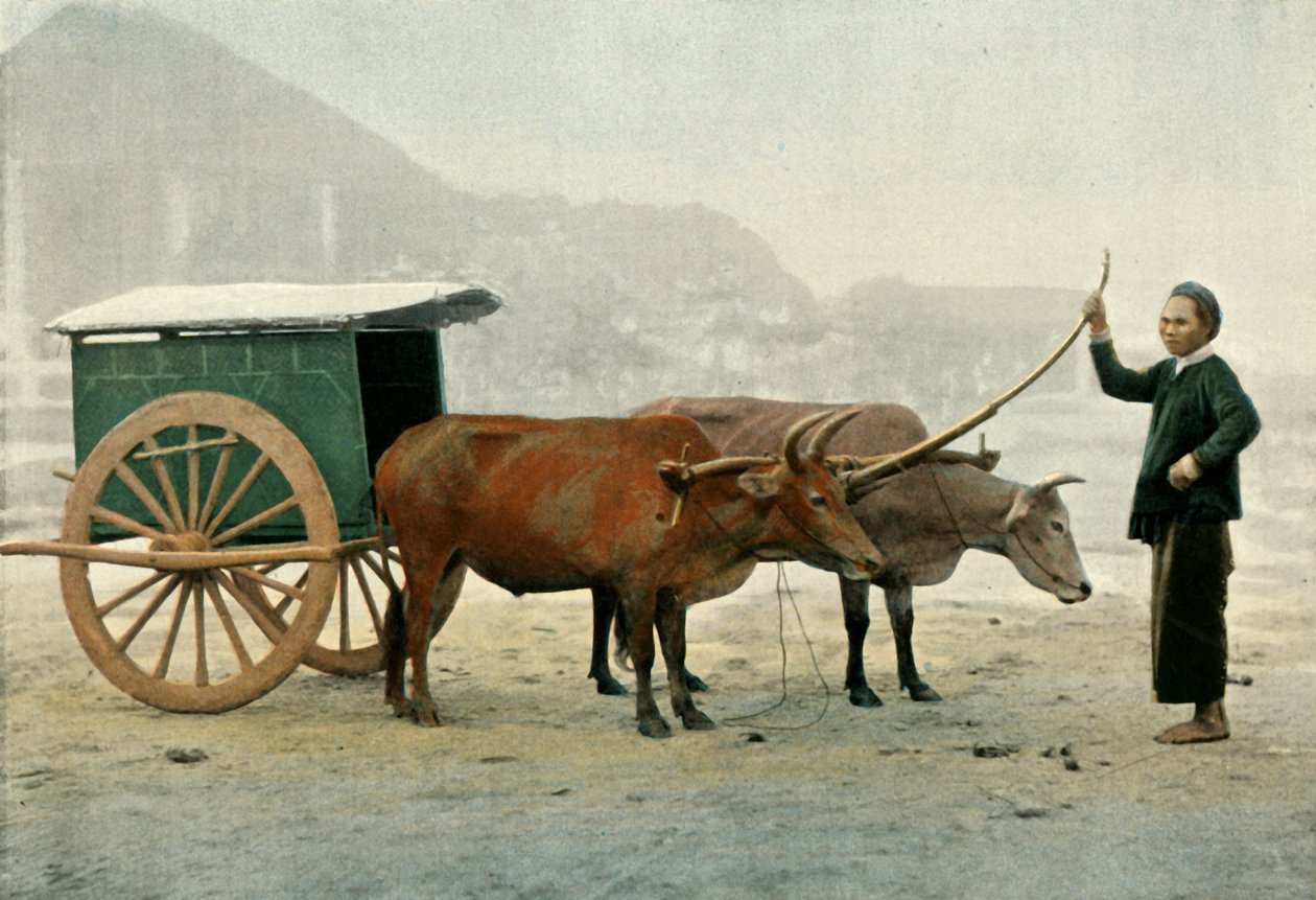 Attelage Annamite, Annamite Jarzmo, 1900. autorstwa Unbekannt