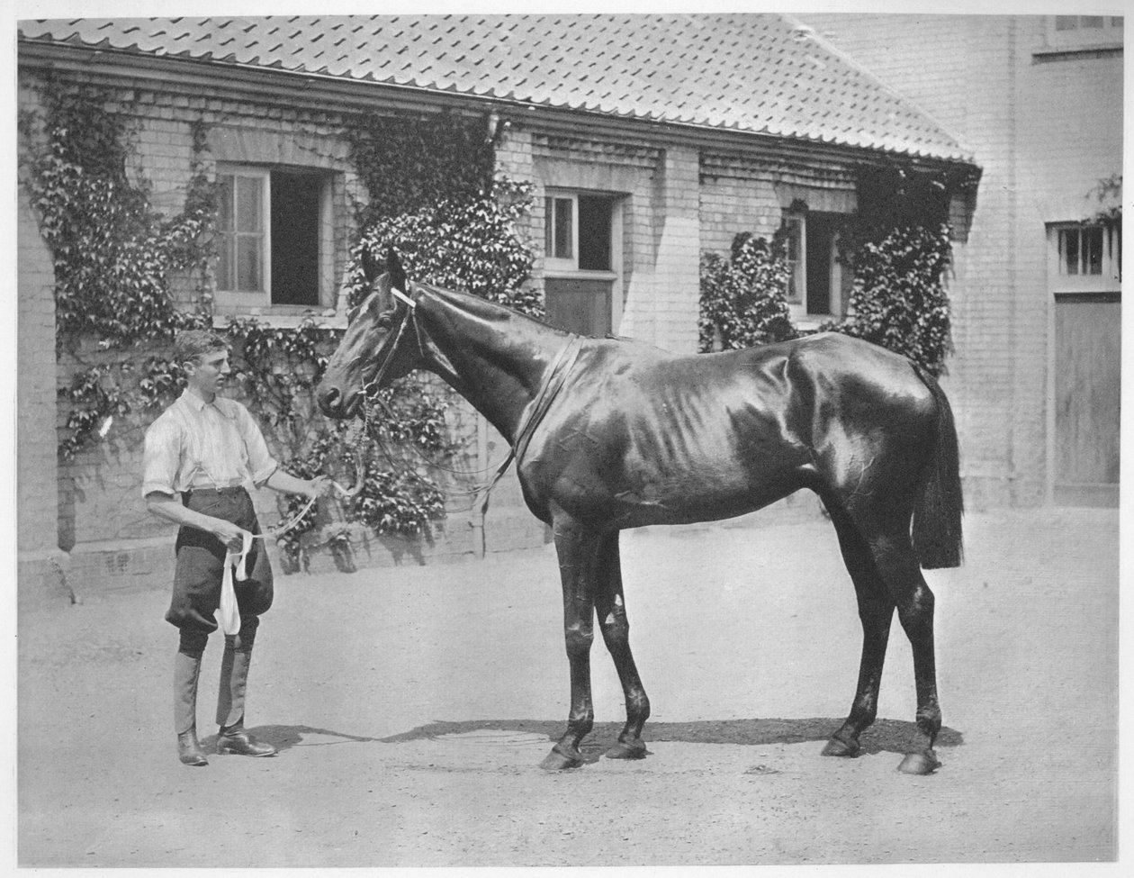 Gwiazda australijska, 1911 autorstwa Unbekannt
