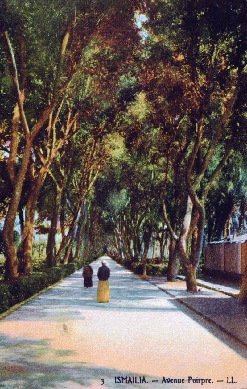 Avenue Poirpre, Ismailia, Egipt, ok. 1900 autorstwa Unbekannt