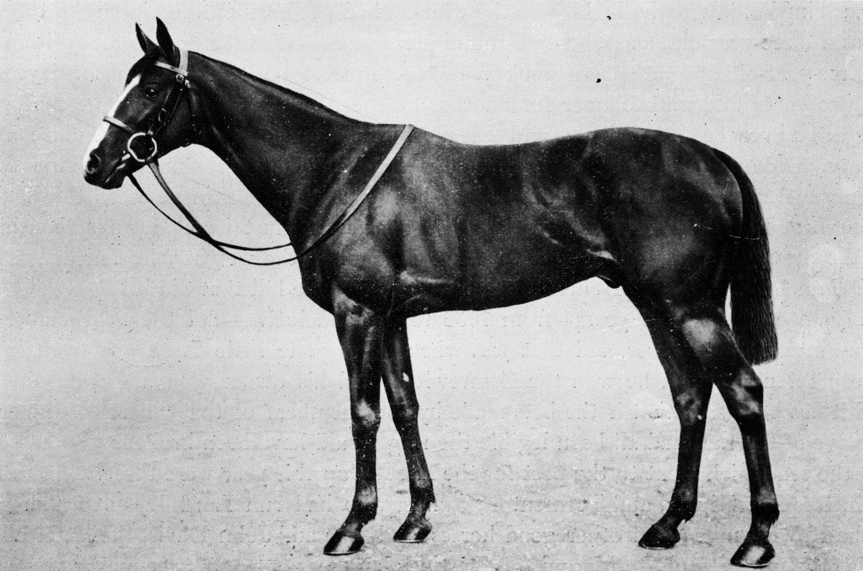 Studia licencjackie, 1911 autorstwa Unbekannt