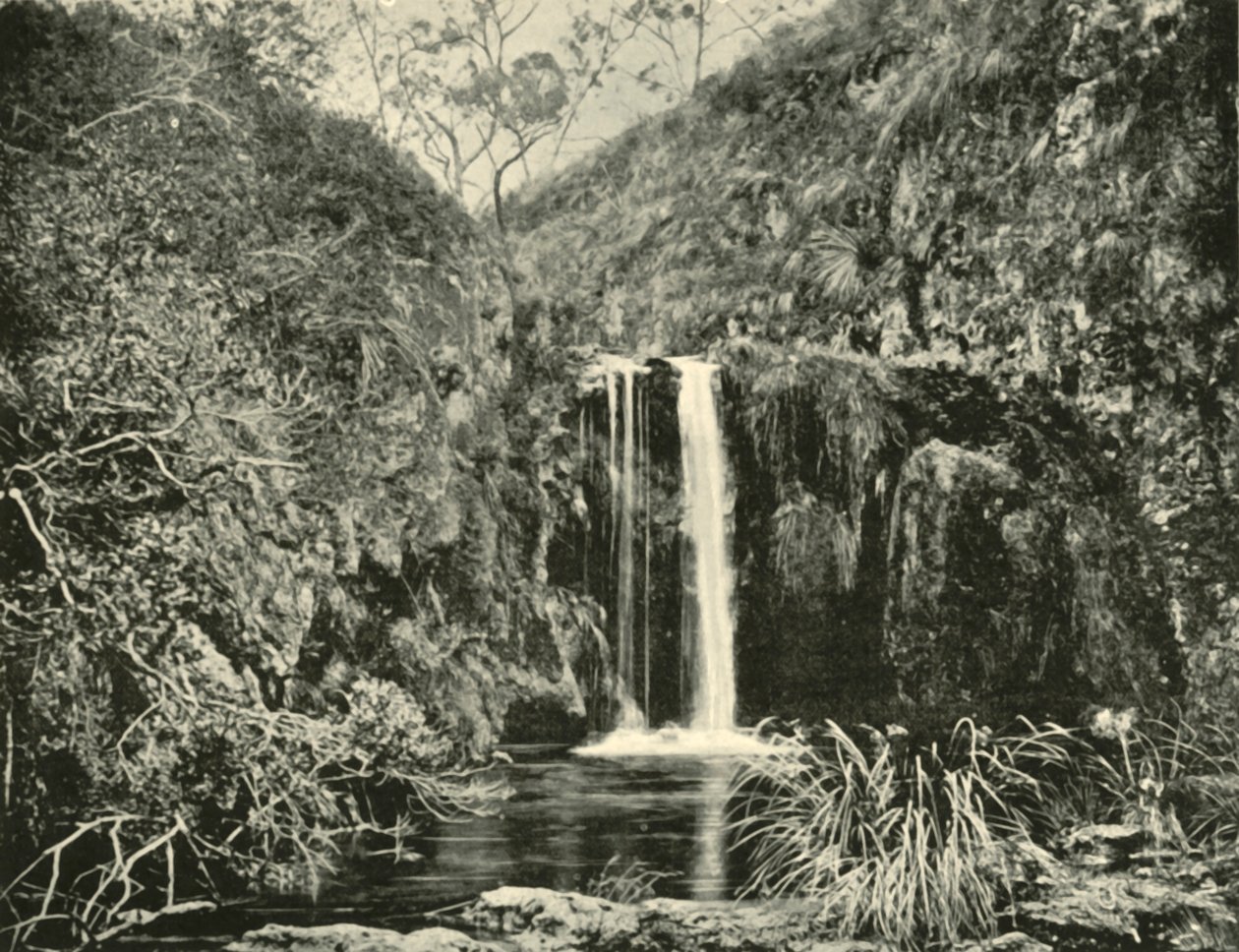 Back Creek Falls, Buchan River, Victoria, 1901. autorstwa Unbekannt