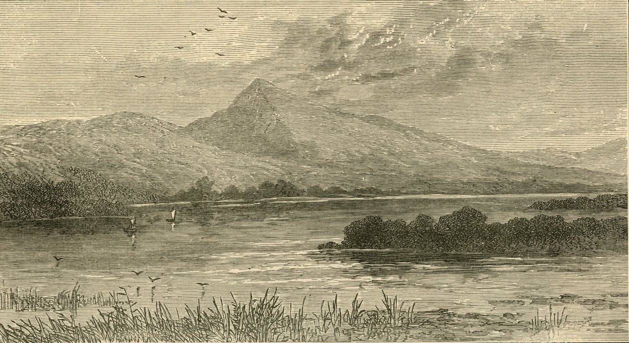 Bez ciebie, 1898. autorstwa Unbekannt