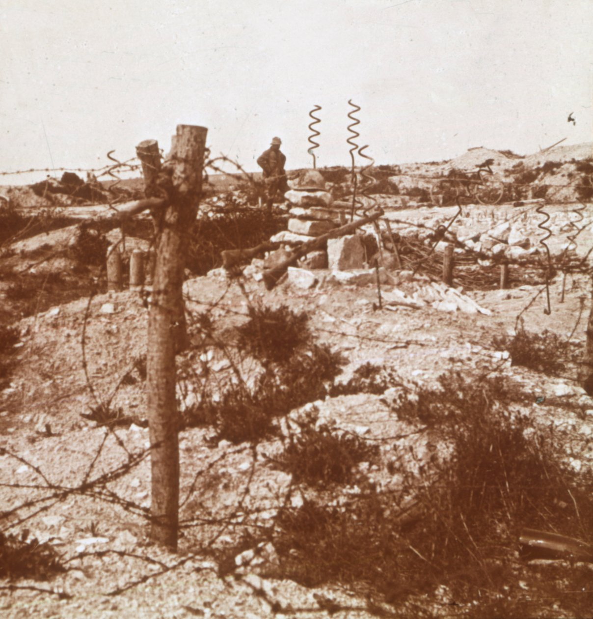 Drut kolczasty, Craonne, północna Francja, c1914-c1918 autorstwa Unbekannt