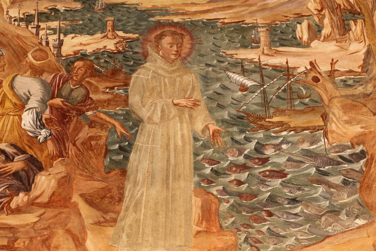 Bazylika Santa Caterina, Galatina, Apulia Fresk w krużganku: Św. Antoni przemawiający do ryby Namalowany przez BrJózefa z Graviny w 1696 r., Galatina, Włochy autorstwa Unbekannt
