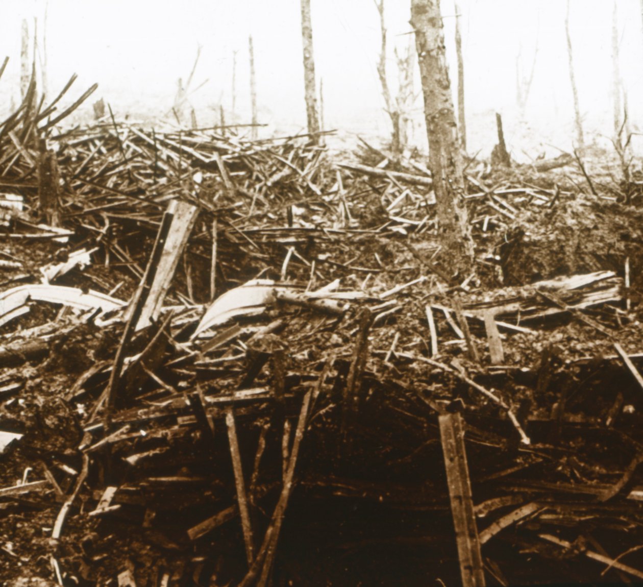 Pole bitwy, c1914-c1918 autorstwa Unbekannt