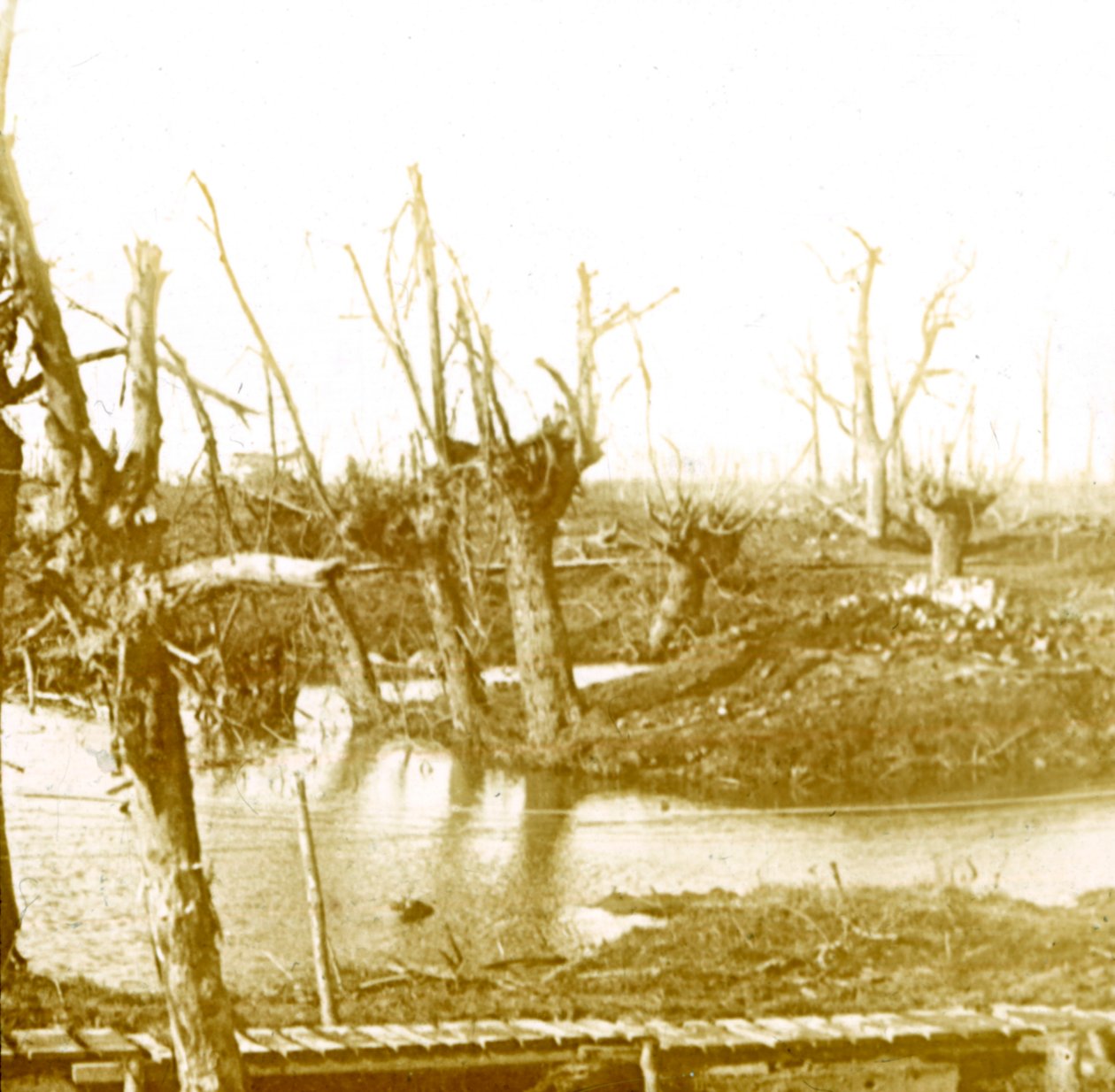 Pole bitwy, c1914-c1918 autorstwa Unbekannt