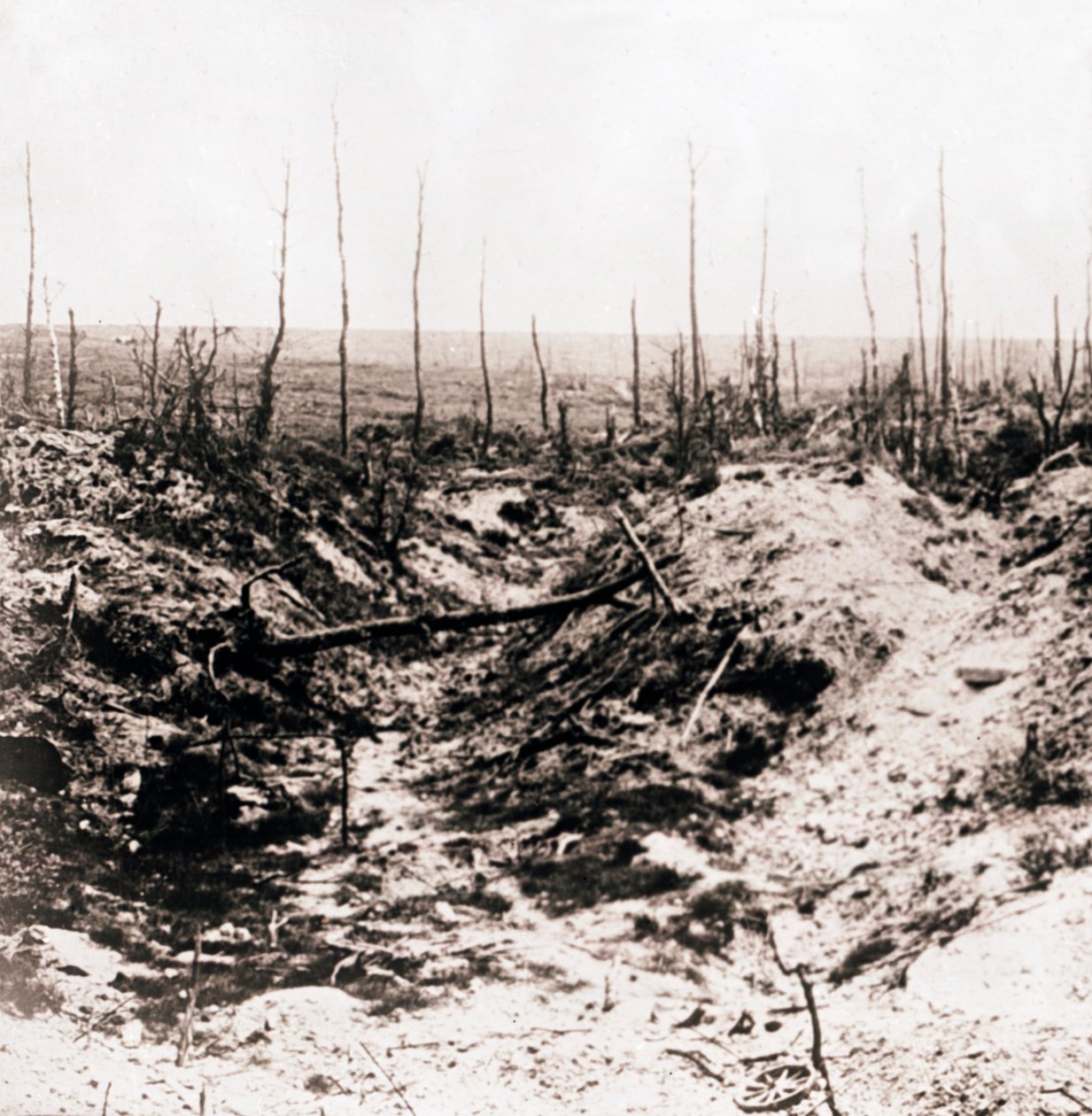 Pole bitwy, c1914-c1918 autorstwa Unbekannt