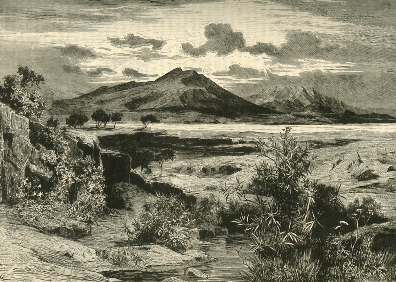 Pole bitwy pod Plataea, 1890. autorstwa Unbekannt