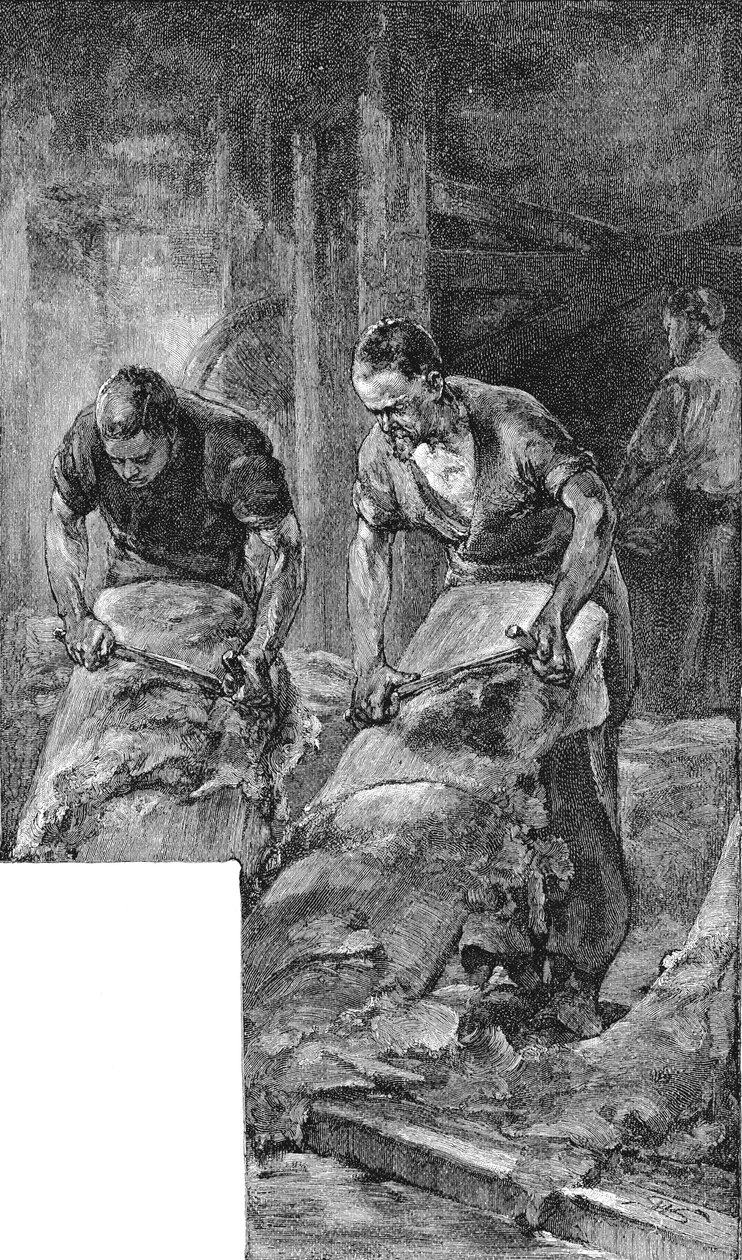 Promienie skór do produkcji skór obuwniczych, 1885 autorstwa Unbekannt