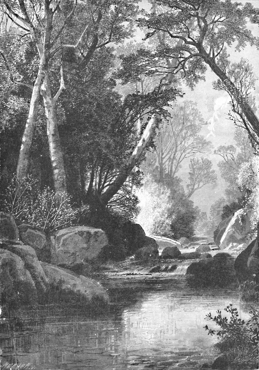 Bear River, niedaleko Betel, Maine, 1883 r. autorstwa Unbekannt