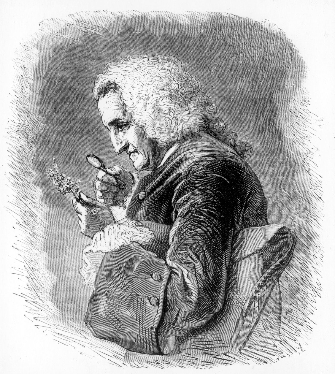 Bernard de Jussieu, XVIII-wieczny francuski botanik, 1880 autorstwa Unbekannt