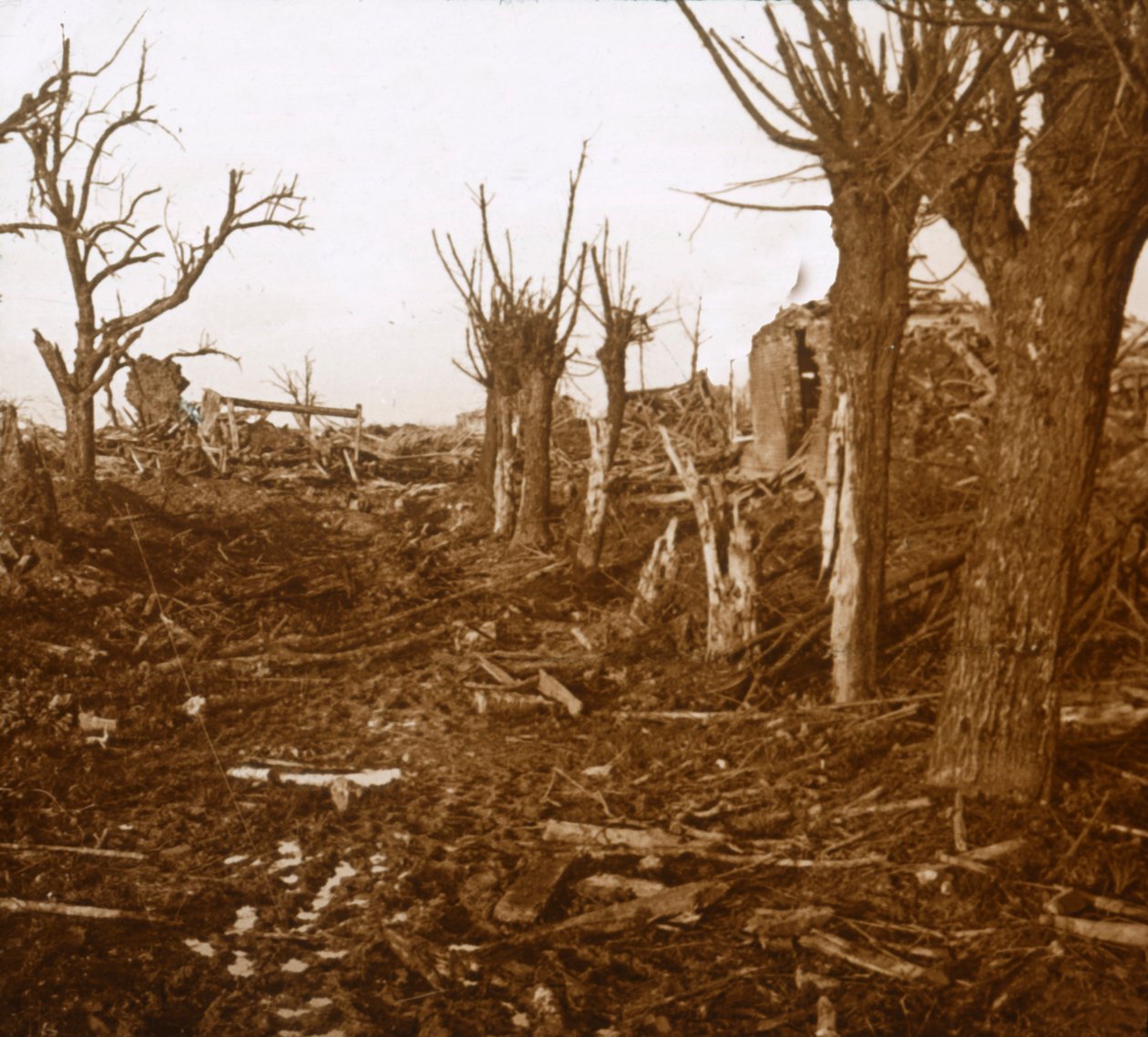 Przeklęty krajobraz, Belloy-en-Santerre, północna Francja, c1914-c1918 autorstwa Unbekannt